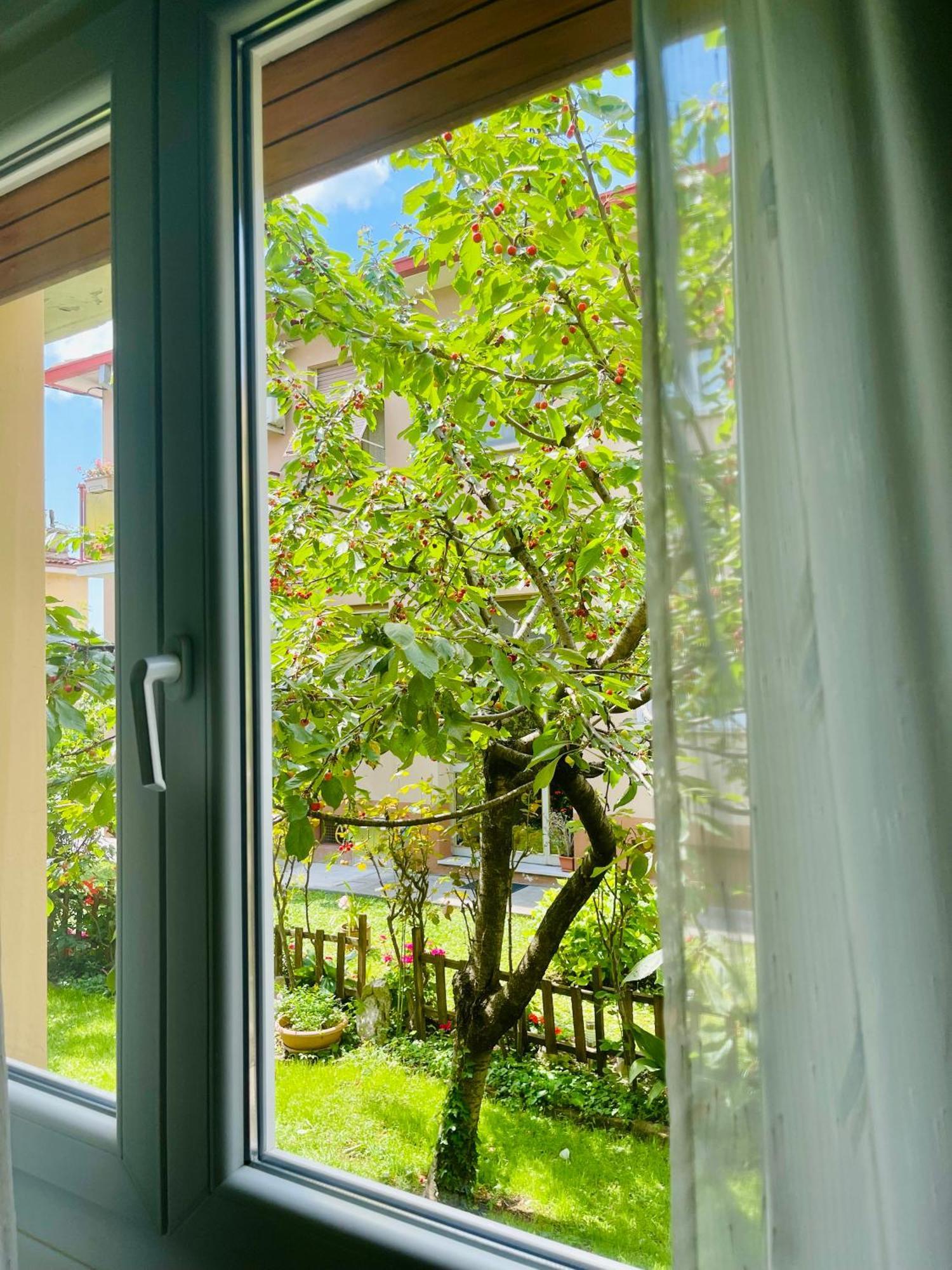Apartament Le Rose Triest Zewnętrze zdjęcie
